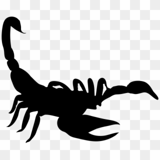981 X 792 11 - Scorpion Silhouette, HD Png Download