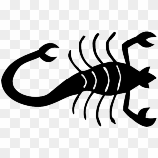 Insect Clipart Scorpion - Scorpion Silhouette Png, Transparent Png