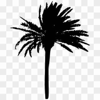Free Download - Transparent Palm Tree Silhouette, HD Png Download
