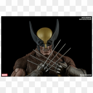 1 Of - Wolverine, HD Png Download