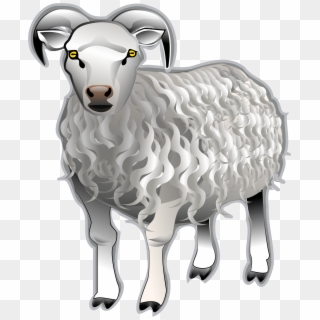 Sheep - Sheep Ewe Ram, HD Png Download