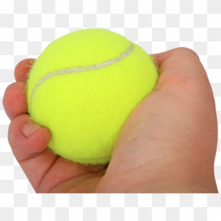 Tennis Ball In Hand Png Image, Transparent Png