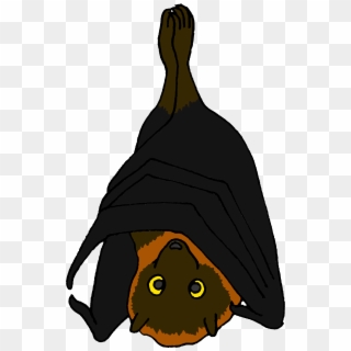 Cartoon Rodrigues Fruit Bat - Fruit Bats Cartoon, HD Png Download