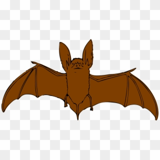 Animal Clipart Bat - Brown Bat Clip Art, HD Png Download