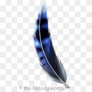 900 X 1489 6 - Blue Jay Feather Drawing, HD Png Download