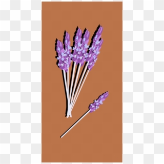 Clipart - Lavender04 - French Lavender, HD Png Download