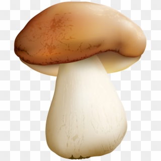 Mushroom Png Clipart Image - Mushroom Png, Transparent Png