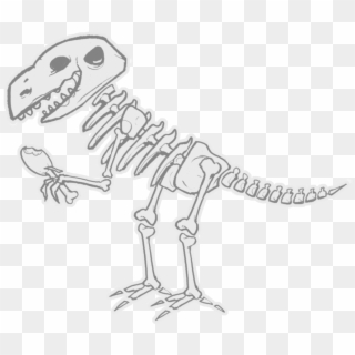 Dinosaur Bones Png - Cartoon Dinosaur Bones Png, Transparent Png