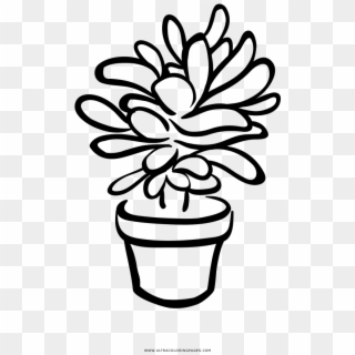 Succulent Coloring Page - Succulent Clipart Black And White, HD Png Download