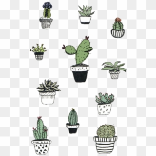 Cactaceae Cactus And Succulent Plant Others - Cactus Drawing, HD Png Download